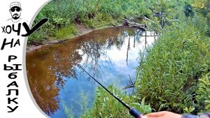 Открытие по ЩУКЕ на МИКРОРЕЧКЕ _ со спиннингом по лесному ручью