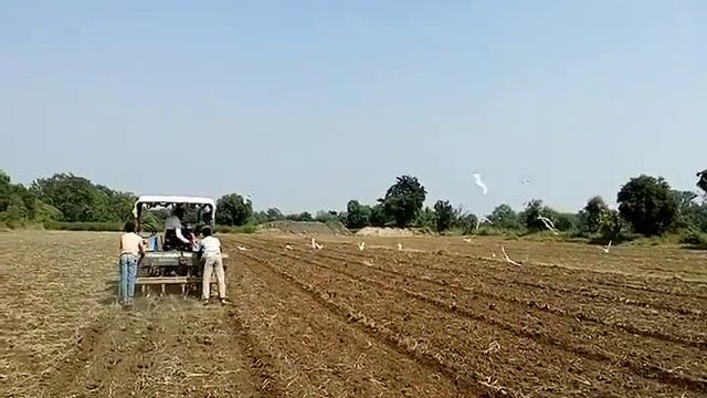 Chana sowing by using tractor смотреть онлайн