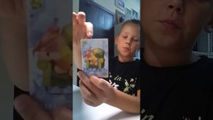 Правила настольной игры Свинтус юный.