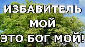 Вся хвала Тебе Господь Слова Текст