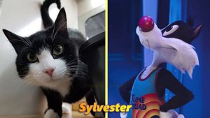 Space Jam Characters IN REAL LIFE l New 2022