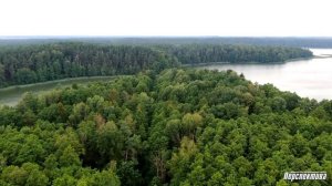 Путешествие по узкоколейке в заказнике "Озеры"