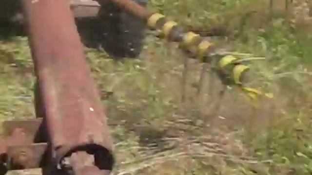 mtz dobilas смотреть онлайн