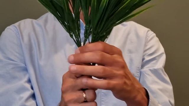 Трава осока искусственная - ОБЗОР | GRASS ARTIFICUAL смотреть онлайн