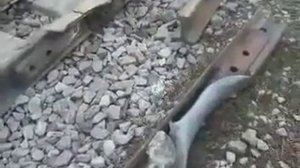 Долбанутся-рельсы гнутся