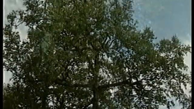 Острова спасения. Соловецкий монастырь. Окончание. смотреть онлайн