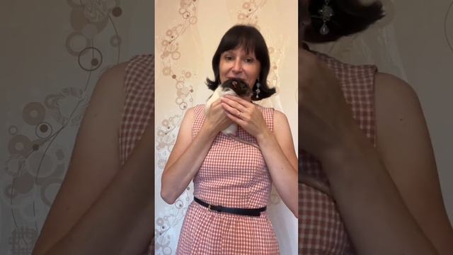 Я люблю крыс! Моя прелесть Татоша и Емеля 🐀🐀🥰 смотреть онлайн