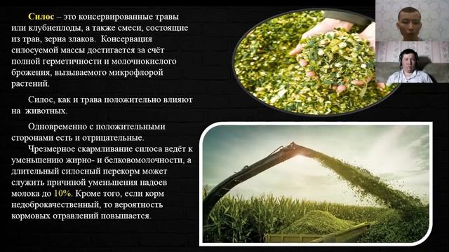 Турданов М У, Животноводство, Оновы кормления сельскохозяйственных животных смотреть онлайн