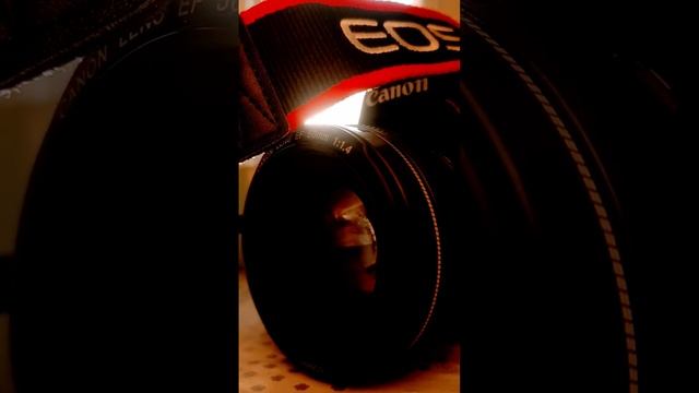 Мой верный друг и товарищ #shots #рекомендации #реки #canon #фотоаппараты смотреть онлайн