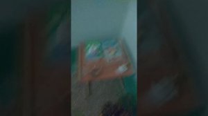 мой подъезд. 5 этаж