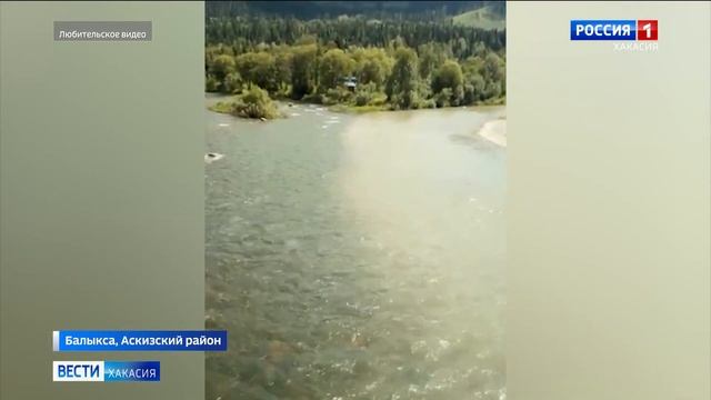 В реке Балыксу обнаружено превышение содержания цинка и других вредных веществ смотреть онлайн