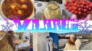 VLOG: ЛЕНЬ или АПАТИЯ/КВАШУ капусту/Отличный ВЕЧЕР