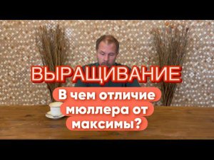 ВЫРАЩИВАНИЕ! В чем отличие мюллера от максимы?