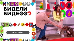 Видели видео? Выпуск от 18.12.2022