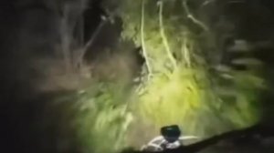 Horrifying Skinwalker Encounters Banned From The Internet