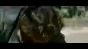 музика ерони 2021 нав