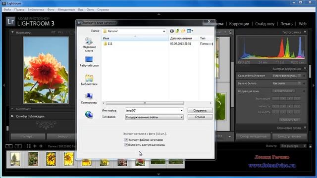 Как сделать экспорт каталога из LightRoom смотреть онлайн