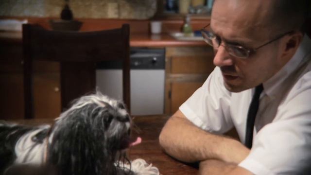 A Man About a Dog (Director's Cut) смотреть онлайн