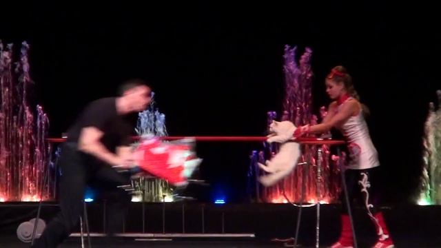 Дрессированные Кошки (2012) смотреть онлайн