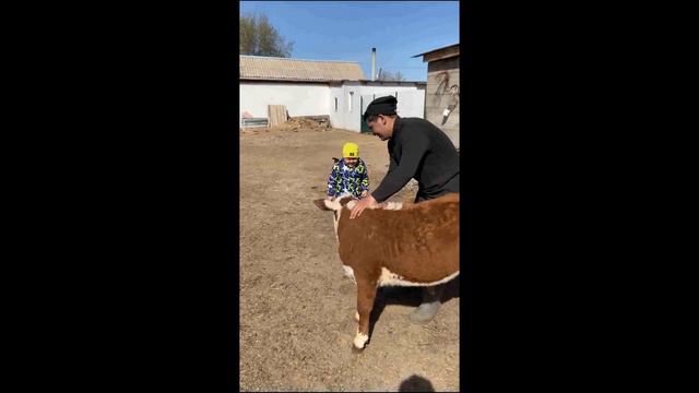 Бату в гостях у Аже в Жарыке рассказывает про домашних животных смотреть онлайн