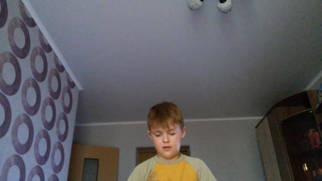 КАК СДЕЛАТЬ ИЗ ШАРИКА ЧЕХОЛ ДЛЯ ТЕЛЕФОНА ??????