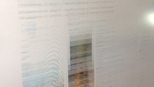 VLOG: ИЩУ ЩЕНКА|СМОТРЮ ЩЕНКОВ НА АВИТО| МОШЕННИКИ!| ПОЧЕМУ ЩЕНКИ ТАКИЕ ДОРОГИЕ?? смотреть онлайн