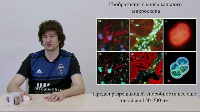 #2 Биоимиджинг или как обойти дифракционный предел смотреть онлайн