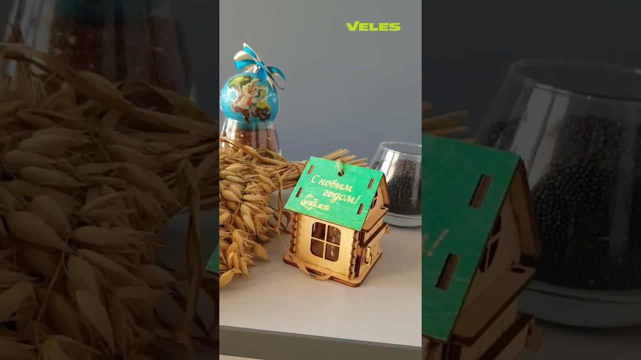 Кемеровский дилер записал душевное видео с подарками VELES прошлых лет #shorts смотреть онлайн