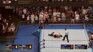 WWE 2K18 GAMEPLAY: Legion of Doom VS. Demolition [incl. PC Mods]