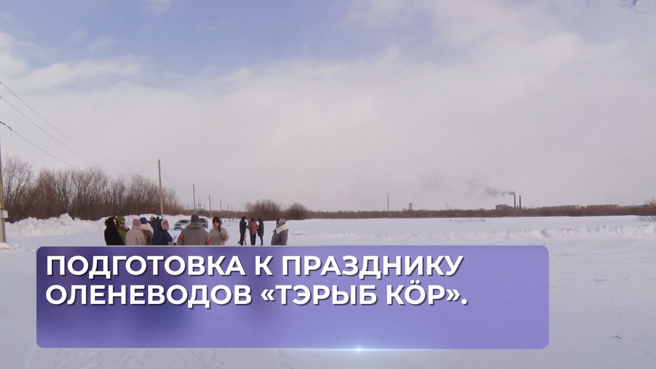 Подготовка к празднику оленеводов «Тэрыб кӧр».