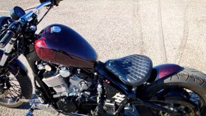 Honda Steed VLX, Bobber (Transalp 600 Engine)