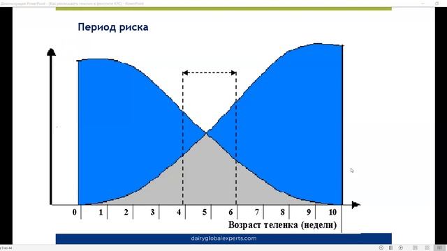 Как реализовать генотип в фенотипе КРС