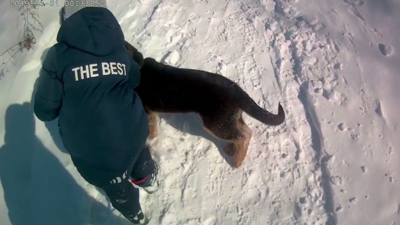 В ЛЕС С РЕБЕНКОМ И ЩЕНКОМ. Наша первая прогулка на природе, Питомник Лукашева, зима. Костер, сосиски смотреть онлайн