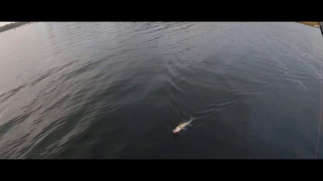 Начало апреля orellana моменты одного дня смотреть онлайн