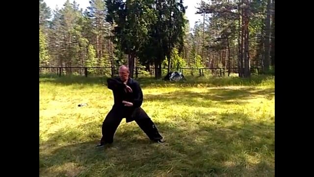 Тайцзицюань. 53 - 57 шаг формы. Учебное видео. 2017г. смотреть онлайн