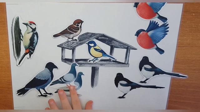 Птицы у кормушки