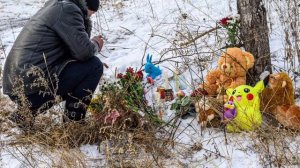 ЗАБАЙКАЛИЕ СОБАКИ ЗАГРЫЗЛИ ДЕВОЧКУ.