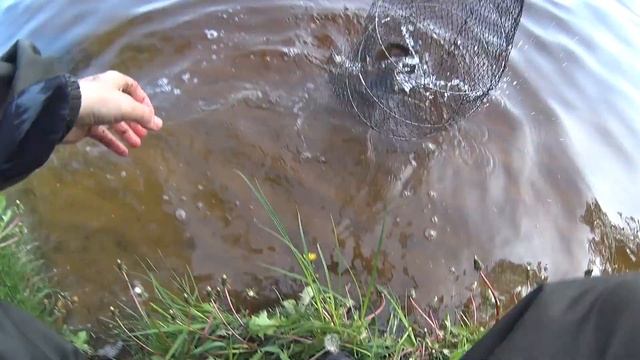 РЫБАЛКА НА ВОЛГЕ. КИЛОГРАММОВЫЙ ЛЕЩ. Ловлю на донки. Девушка на рыбалке. Fishing смотреть онлайн