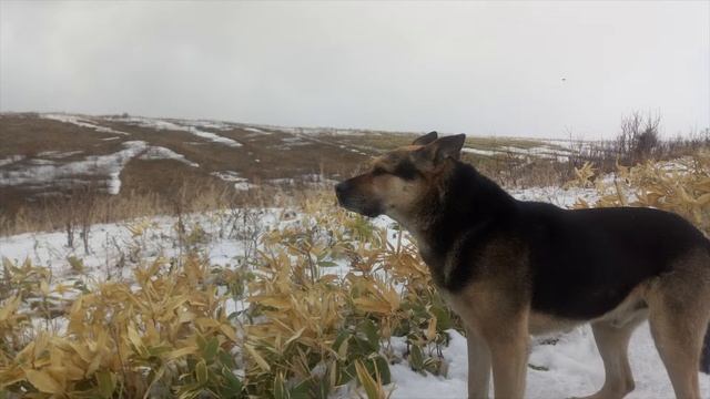 Ошо Ты не часть общества, ты часть Вселенной