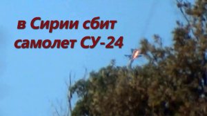 в Сирии сбит самолет СУ-24