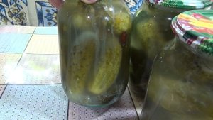 Соленые огурцы без стерилизации, залитые водой из под крана.