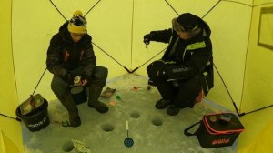 Ловим карпа зимой! Новоскаковский карьер Калужская область. Рыбалка в Калуге