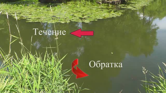 Рыбалка на речке на Кивок, насадка опарыш, хлеб, Ловля плотвы, леща. подводная съёмка смотреть онлайн