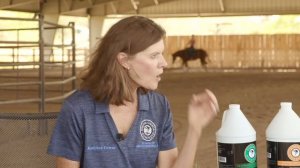 HOW YOUR HORSE WILL BENEFIT FROM SUPPLEMENTS