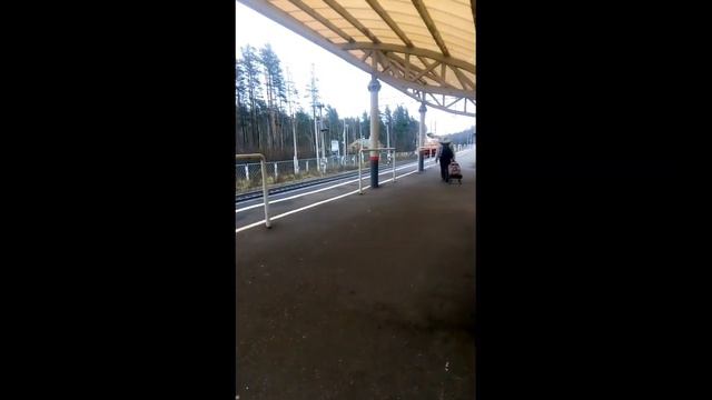 МПТ-6 истошно гудит