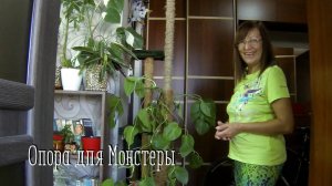 Комнатные цветы. Опора для Монстеры. Наращиваю палку.