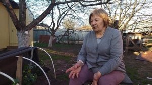 СЛАДКИЙ ПЕРЕЦ ПИК РАДУЕТ С ПЕРВОГО ДНЯ ВЫСАДКИ В ГРУНТ