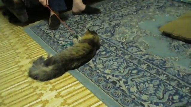 Нильс играет смотреть онлайн