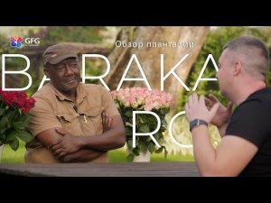 GFG | Baraka Roses | Кения 2021 |  Кенийские розы