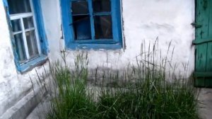 ЧЕМ ЗАДЕЛАТЬ ЩЕЛИ и ТРЕЩИНЫ Наружных стен ДАЧНОГО ДОМИКА